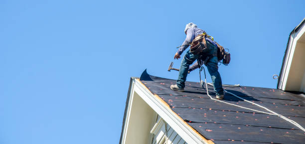 Best Roof Maintenance Services  in Bethel, AK